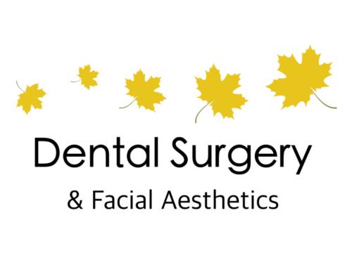 The Dental Surgery Norwich